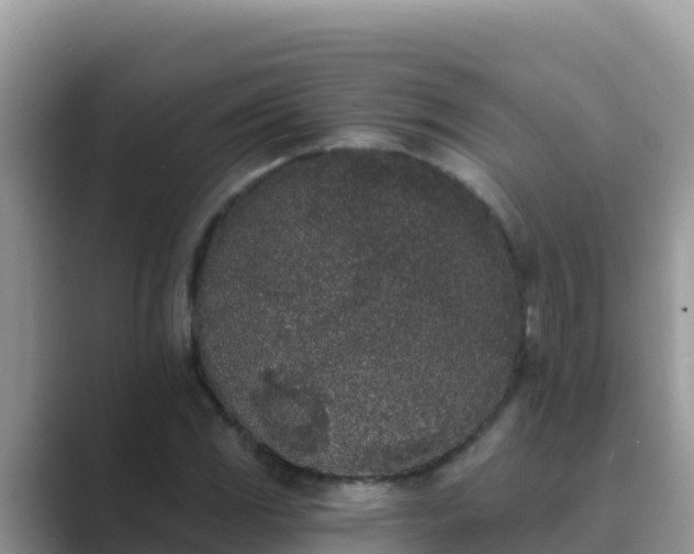 X0000089831117200707051034