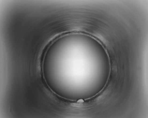 X0000089831118200707051034