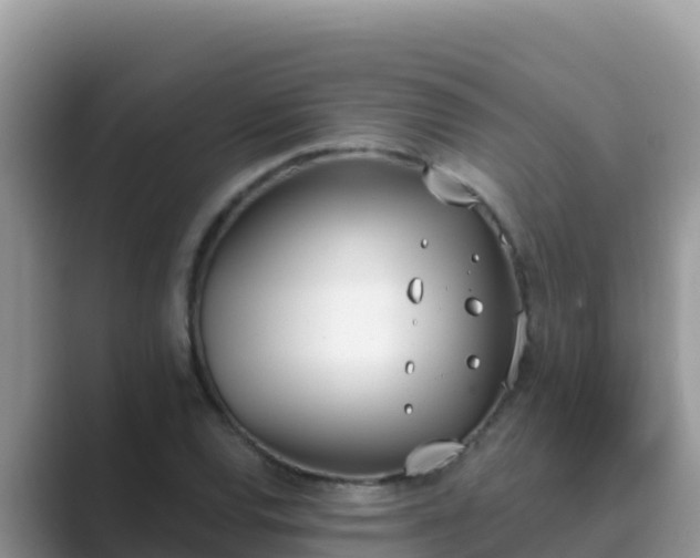 X0000089831120200707051034