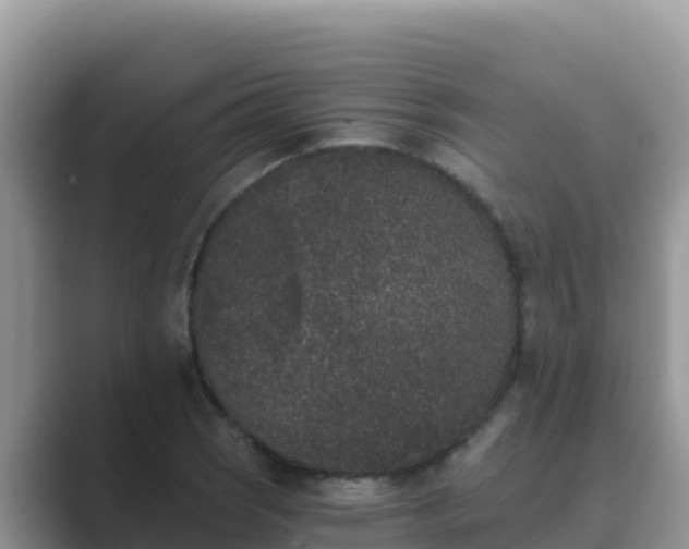 X0000089831121200707051034