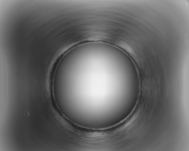 X0000089831122200707051034