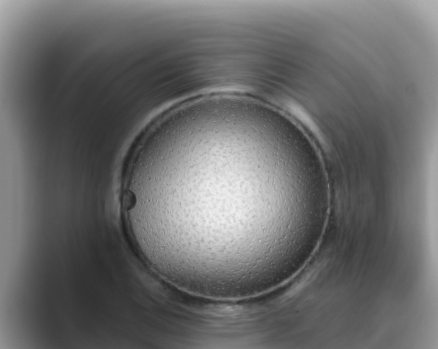 X0000089831124200707051034