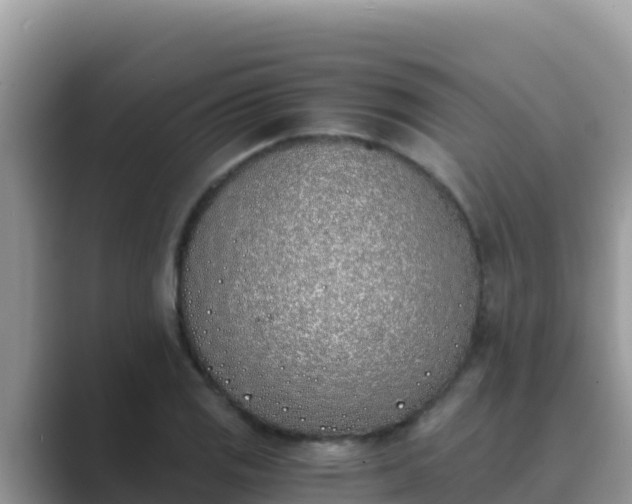 X0000089831125200707051034