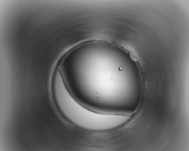 X0000089831128200707051034