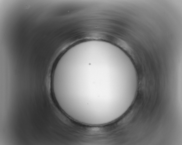 X0000089831130200707051034