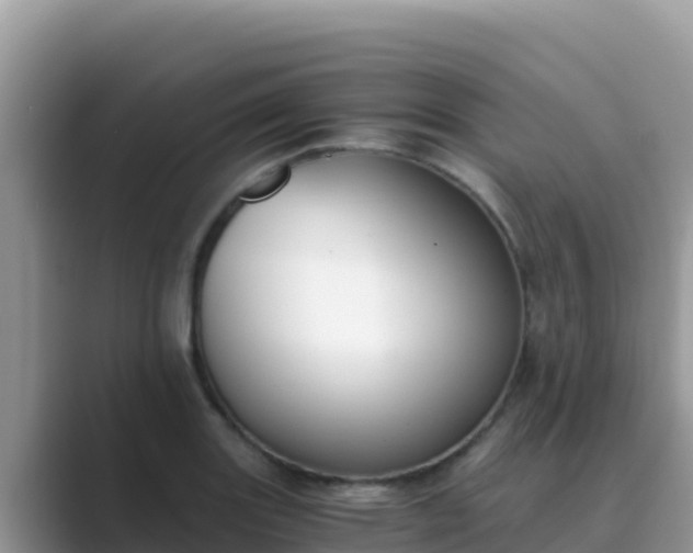 X0000089831131200707051034