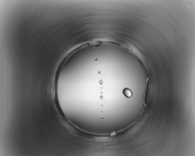 X0000089831132200707051034