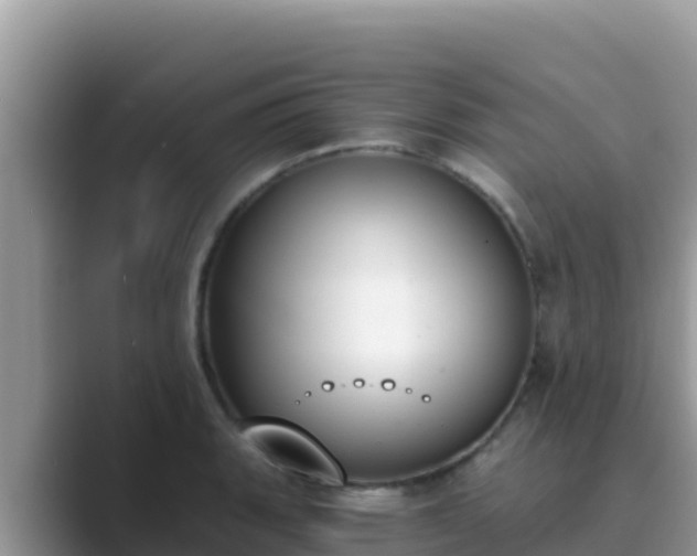 X0000089831135200707051034