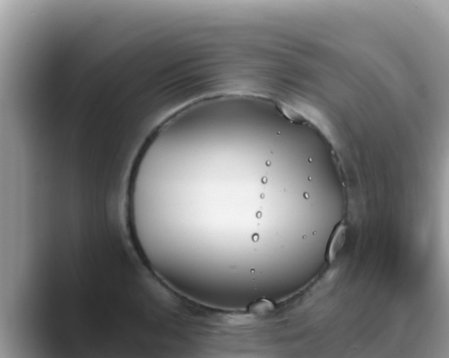 X0000089831136200707051034