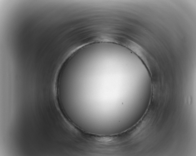 X0000089831141200707051034