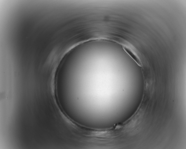 X0000089831143200707051034