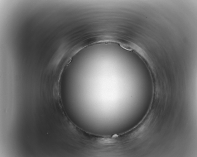 X0000089831145200707051034