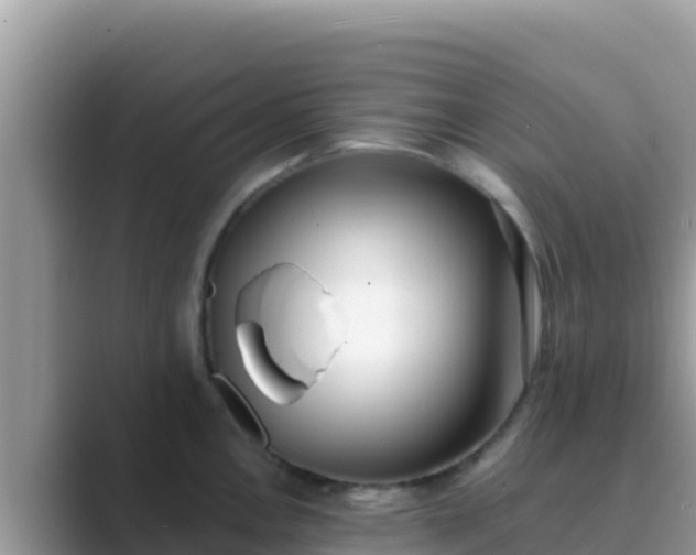 X0000089831146200707051034