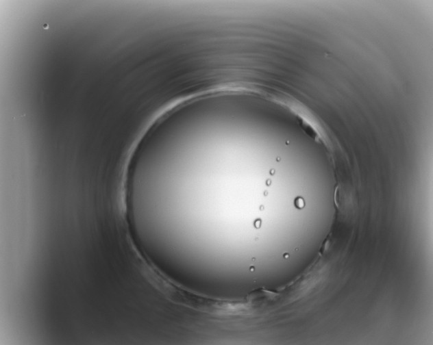 X0000089831148200707051034