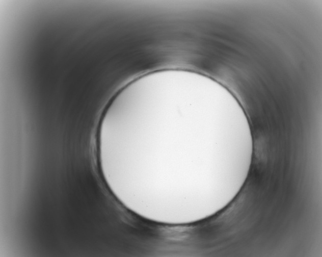 X0000089831150200707051034