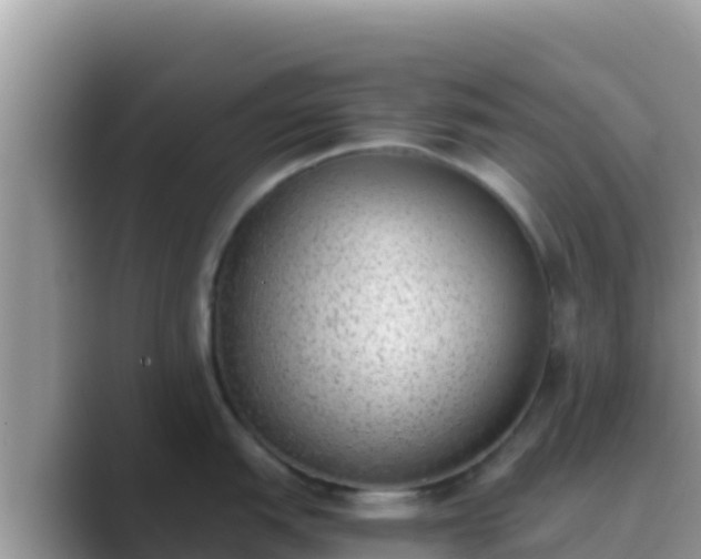 X0000089831151200707051034