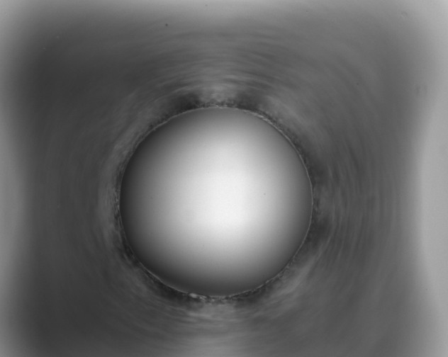 X0000089831153200707051033