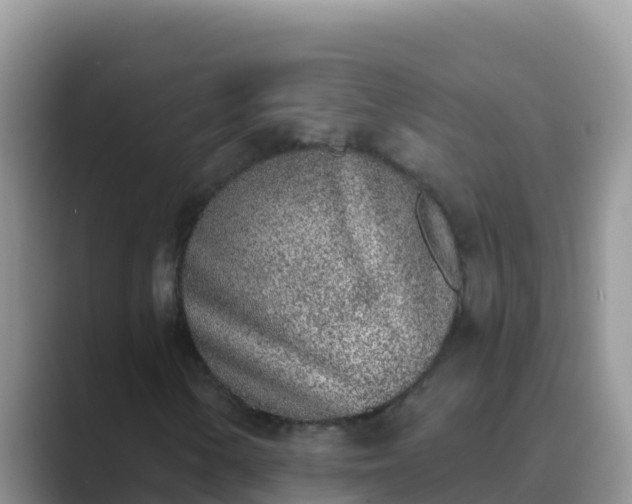 X0000089831154200707051033
