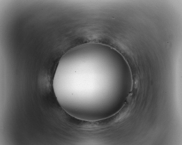 X0000089831156200707051033