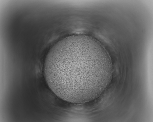 X0000089831158200707051033