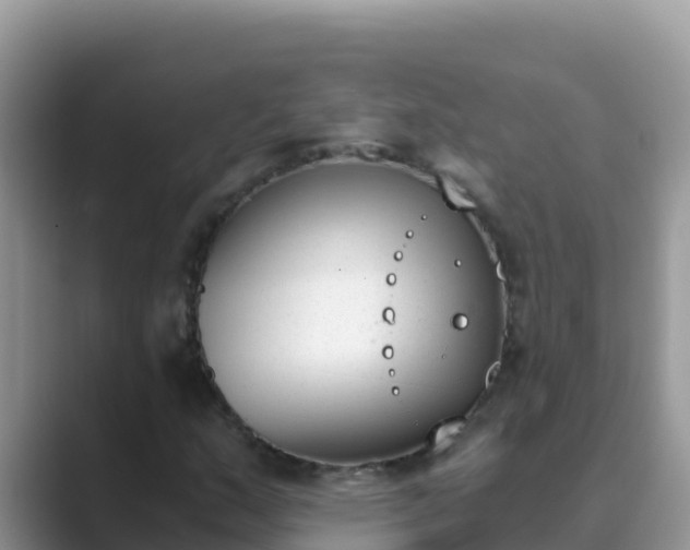 X0000089831159200707051033