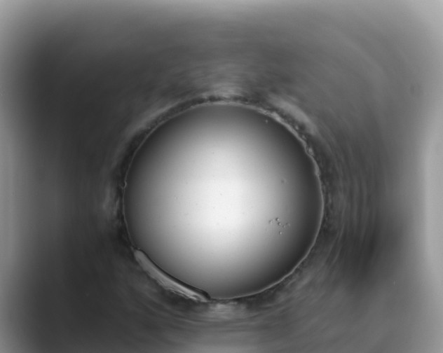 X0000089831160200707051033