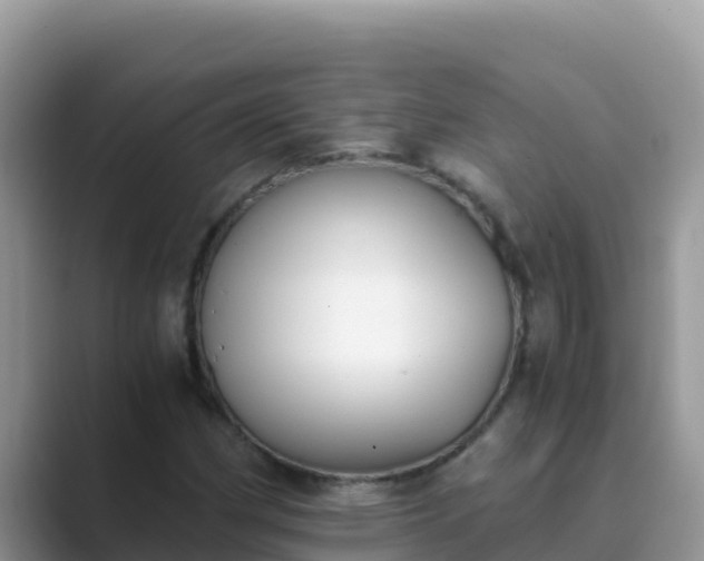 X0000089831162200707051033