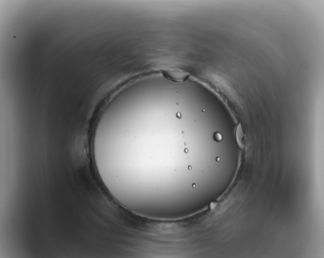 X0000089831164200707051033