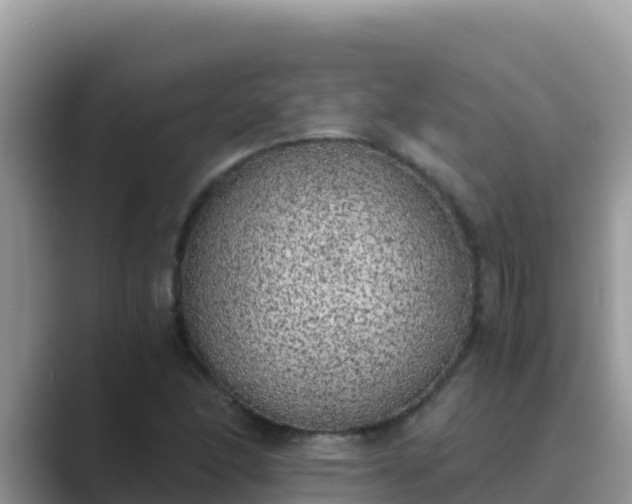 X0000089831166200707051033