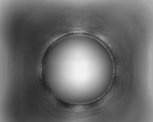 X0000089831167200707051033