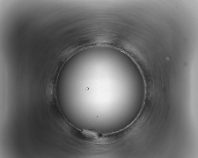 X0000089831169200707051033