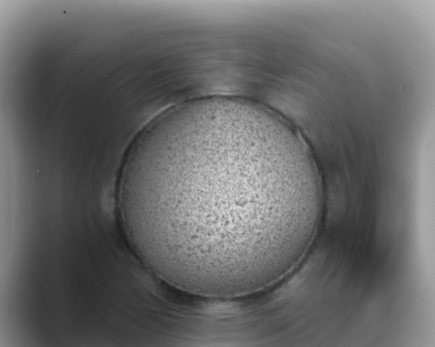 X0000089831170200707051033