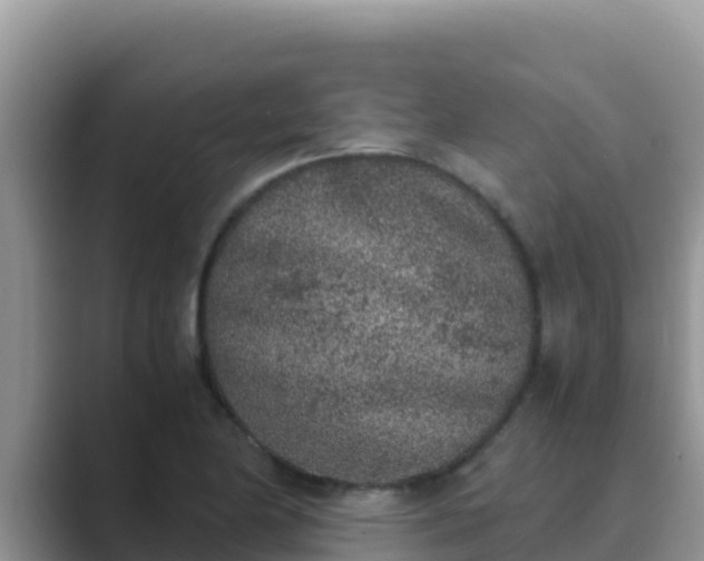 X0000089831174200707051033