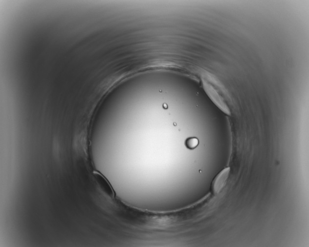 X0000089831177200707051033