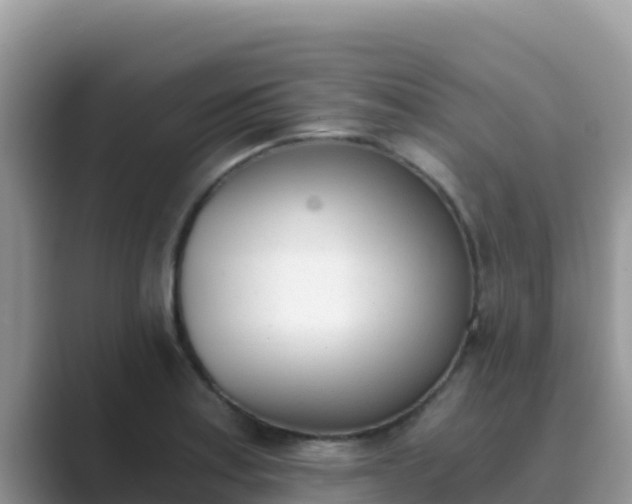 X0000089831179200707051033