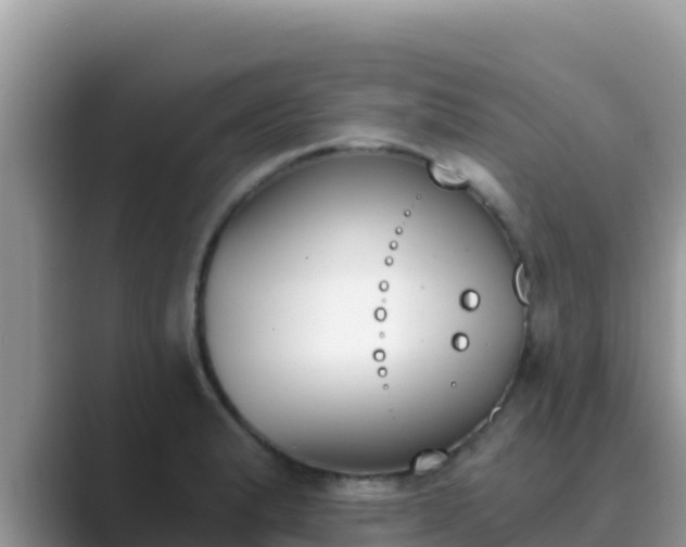 X0000089831183200707051033