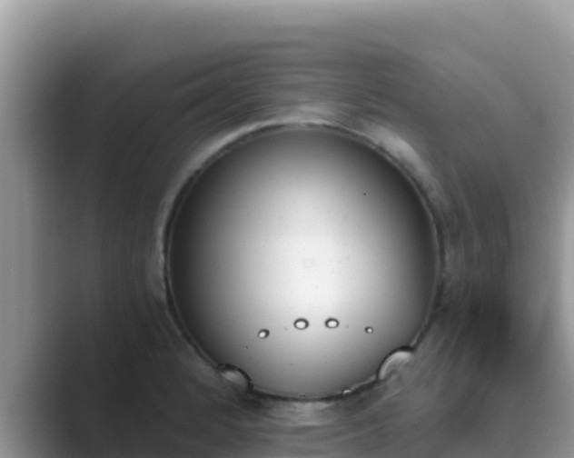 X0000089831184200707051033