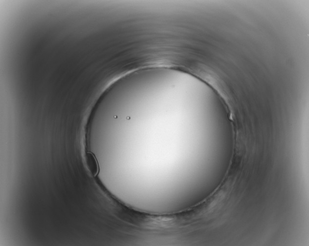 X0000089831187200707051033