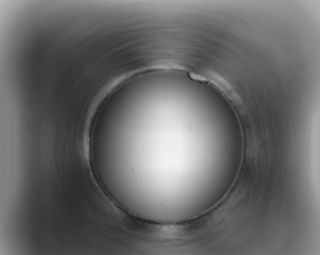 X0000089831188200707051033