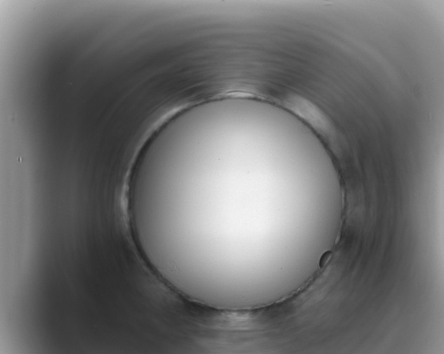 X0000089831190200707051033