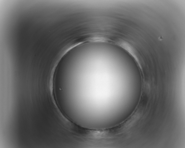 X0000089831195200707051033