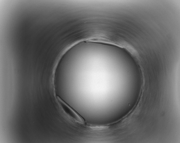 X0000089831200200707051033