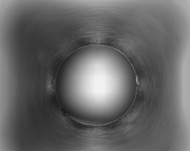 X0000089831202200707051032