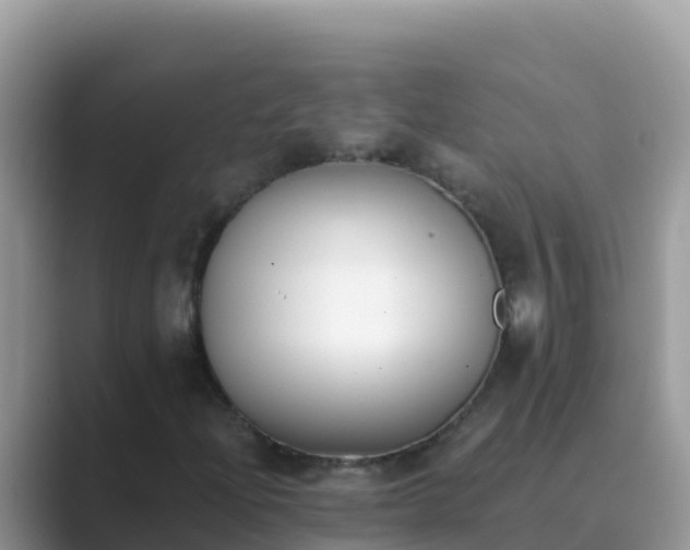 X0000089831204200707051032