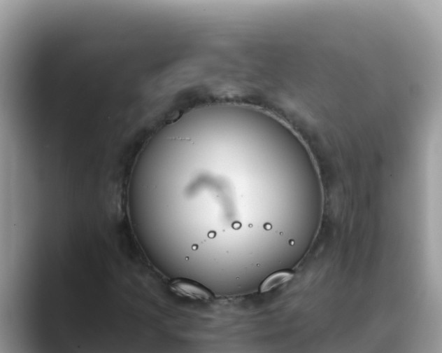 X0000089831205200707051032