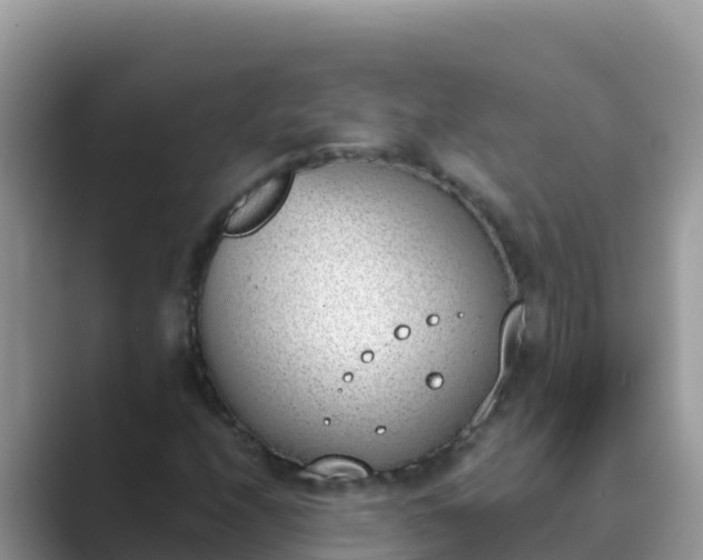 X0000089831208200707051032