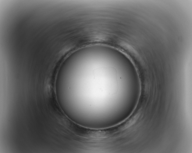 X0000089831210200707051032