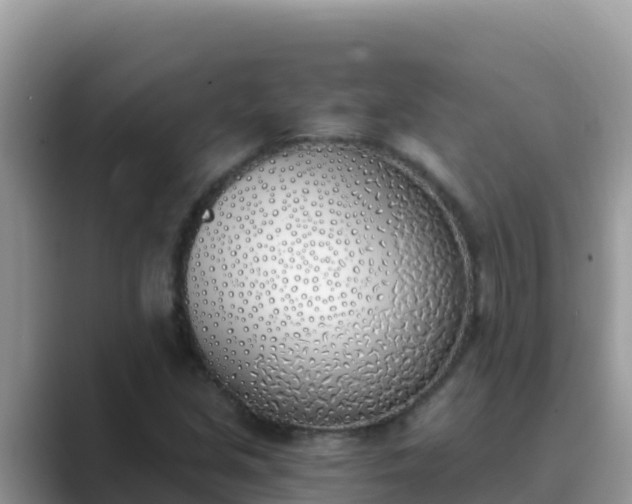 X0000089831213200707051032