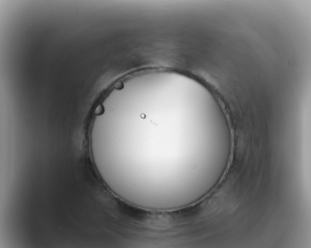 X0000089831215200707051033