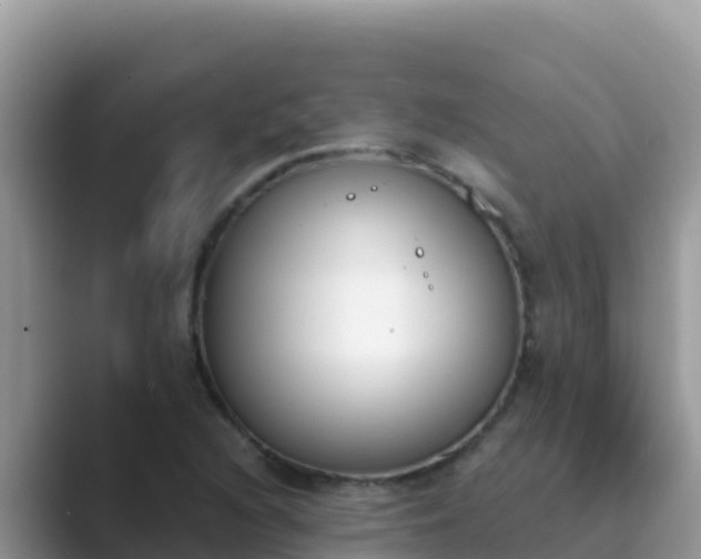 X0000089831216200707051033